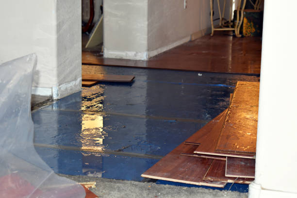 Professional Basement Flood Cleanup technician working in Nesconset, NY